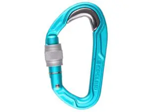 Mosquetón BULLETPROOF SCREW (EDELRID)